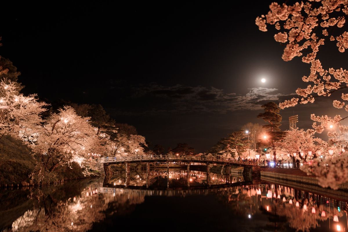 takada castle's bridge at night with sakura