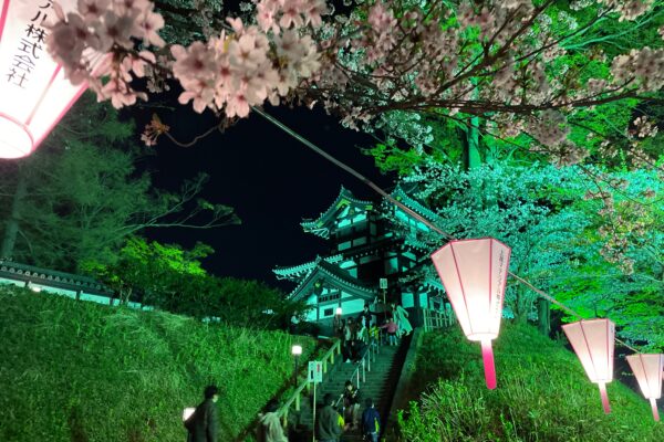 Snow Monkey & Cherry Blossom Illumination Tour (28 Mar ~13 Apr) - Image 5
