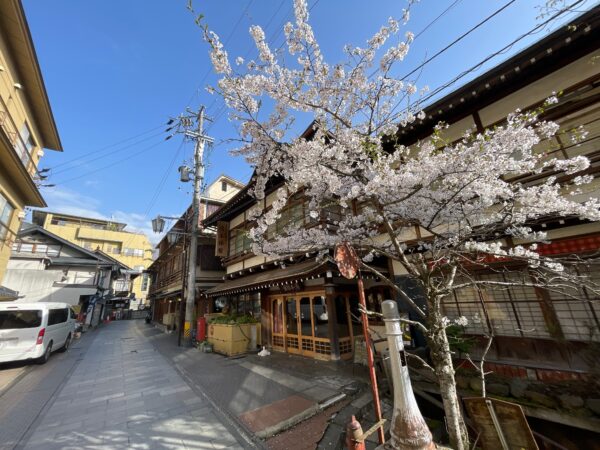 Snow Monkey & Cherry Blossom Illumination Tour (28 Mar ~13 Apr) - Image 13