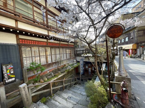 Snow Monkey & Cherry Blossom Illumination Tour (28 Mar ~13 Apr) - Image 14