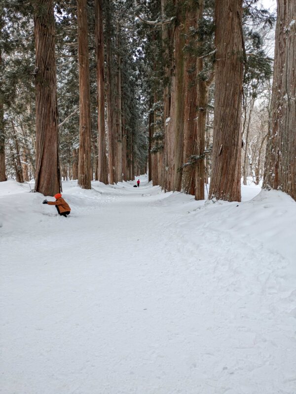 Tailor-made Private Tour from Nozawa Onsen - Image 2