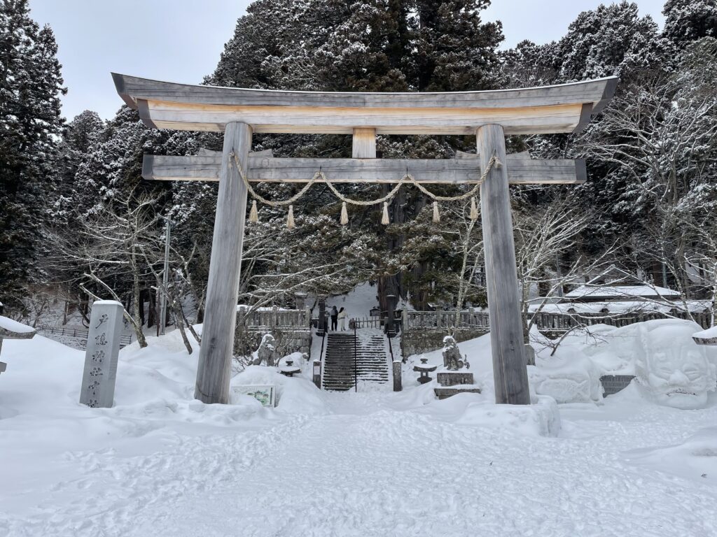 Tailor-made Private Tour from Nozawa Onsen