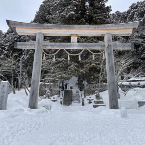 Tailor-made Private Tour from Nozawa Onsen